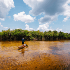 A campanha, em vigor desde 2018, promove a visitação desses territórios para conscientizar sobre a importância da conservação ambiental.
