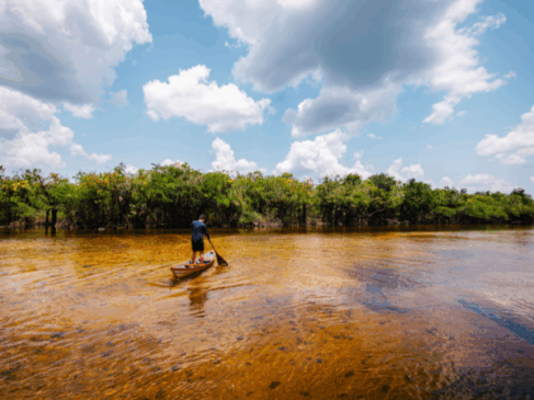 A campanha, em vigor desde 2018, promove a visitação desses territórios para conscientizar sobre a importância da conservação ambiental.