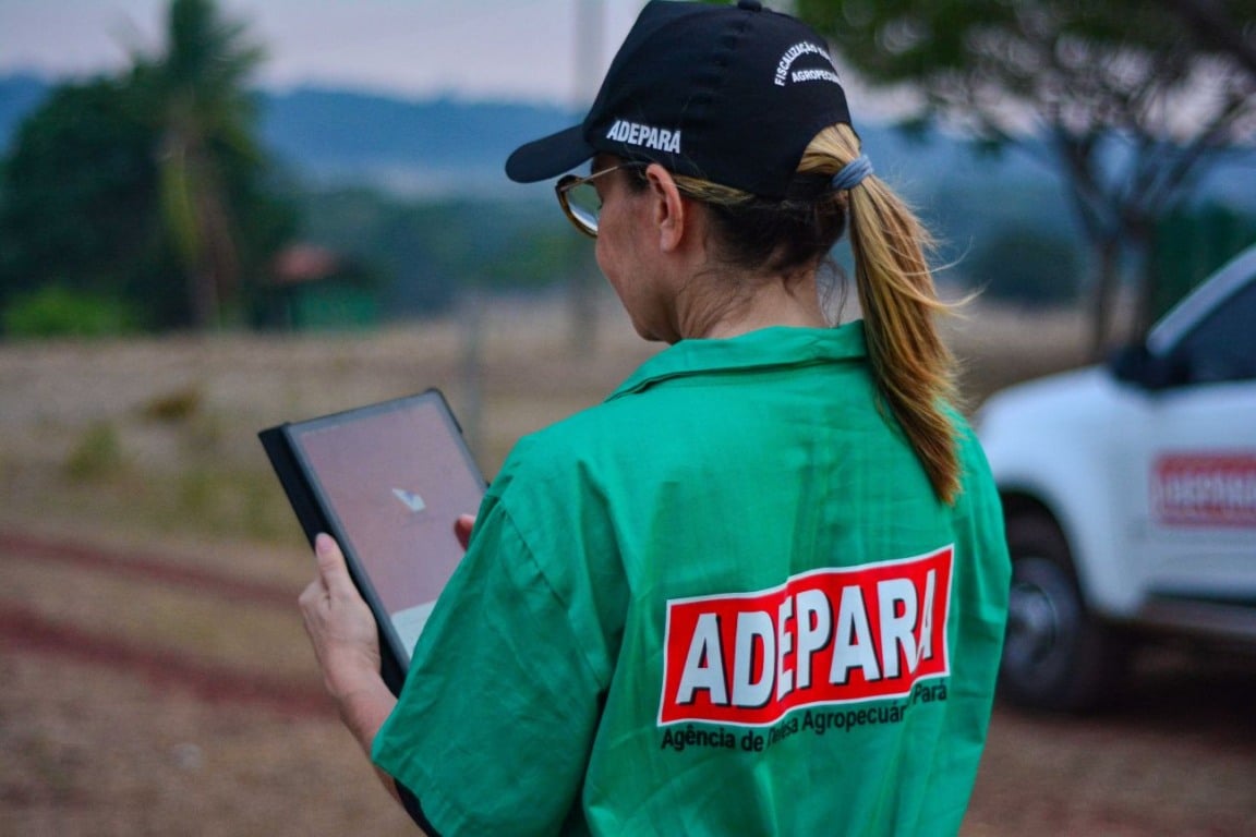Renda garantida: Adepará abre vagas com gratificações e auxílio alimentação generoso