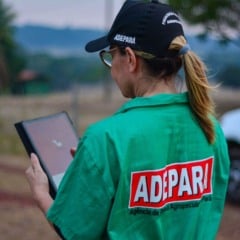 Renda garantida: Adepará abre vagas com gratificações e auxílio alimentação generoso