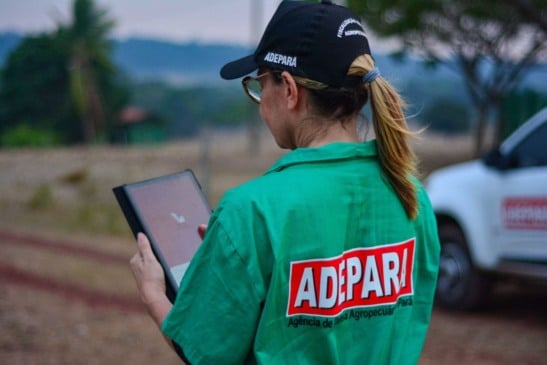 Renda garantida: Adepará abre vagas com gratificações e auxílio alimentação generoso