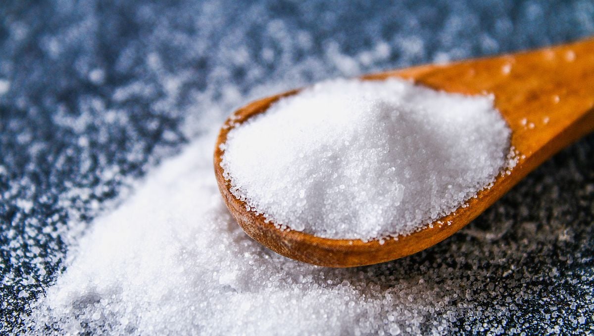 Sal antes do treino? Saiba os possíveis benefícios e riscos para a saúde Sal antes do treino? Saiba os possíveis benefícios e riscos para a saúde