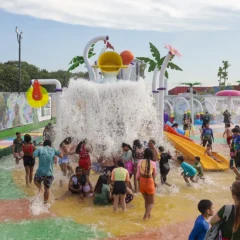 Parque da Cidade recebe mais de 670 mil visitantes antes de ser preparado para a COP30