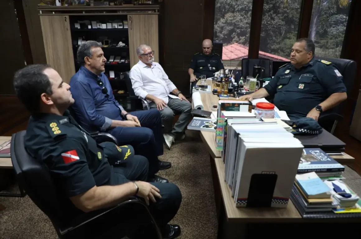 Foto: Divulgação