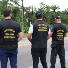 PSS vai oferecer vagas em diversas áreas de atuação, em 34 municípios e dois distritos. Não será cobrada taxa de inscrição.