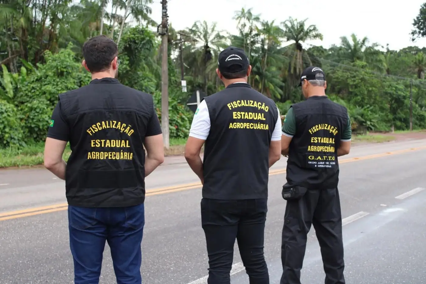 PSS vai oferecer vagas em diversas áreas de atuação, em 34 municípios e dois distritos. Não será cobrada taxa de inscrição.