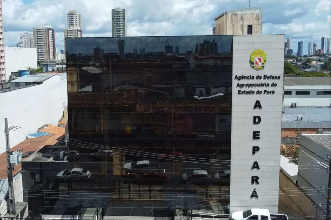 Adepará abre inscrições hoje (18/08) para 58 vagas temporárias em todo o Pará
