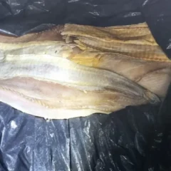 Sefa apreende 16 toneladas de pescado em Santarém