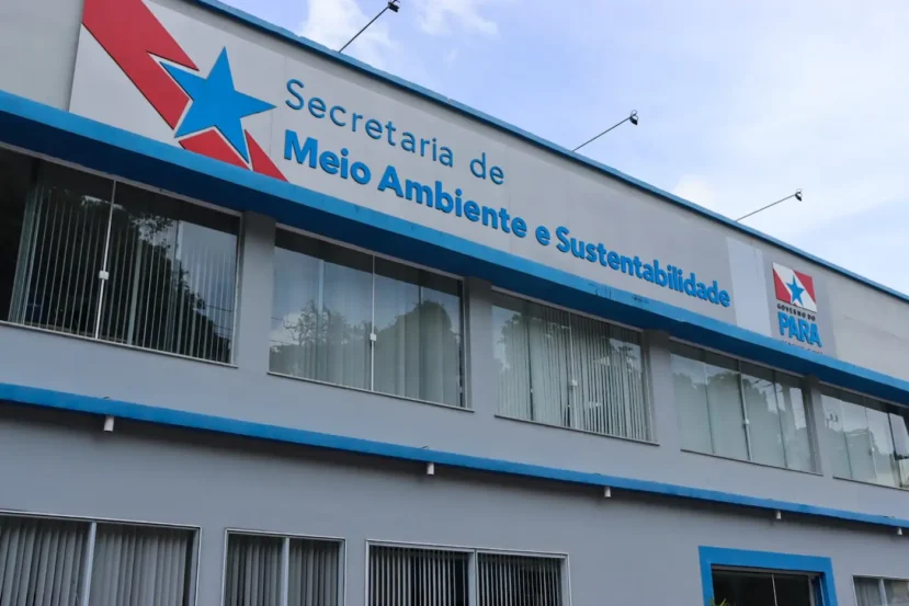 Certame será presencial em Belém e vai ofertar 42 itens diversos, como motores de rabeta e lotes de madeira serra de ipê (decking e tábuas)

