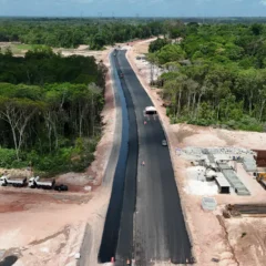 A nova via será uma ligação estratégica entre a Alça Viária e a Avenida Perimetral, próxima à UFPA, beneficiando diretamente Belém, Ananindeua e Marituba, além de facilitar o acesso ao sul do Estado, ao Porto de Vila do Conde e ao Baixo Tocantins