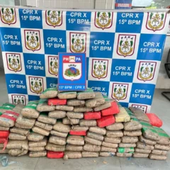 Polícia Militar intercepta carregamento de drogas na Transamazônica