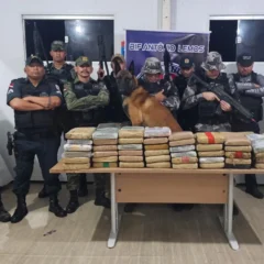  A droga estava sendo transportada na embarcação F/B Anna Karoline VII, que seguia de Manaus (AM) com destino a Belém.