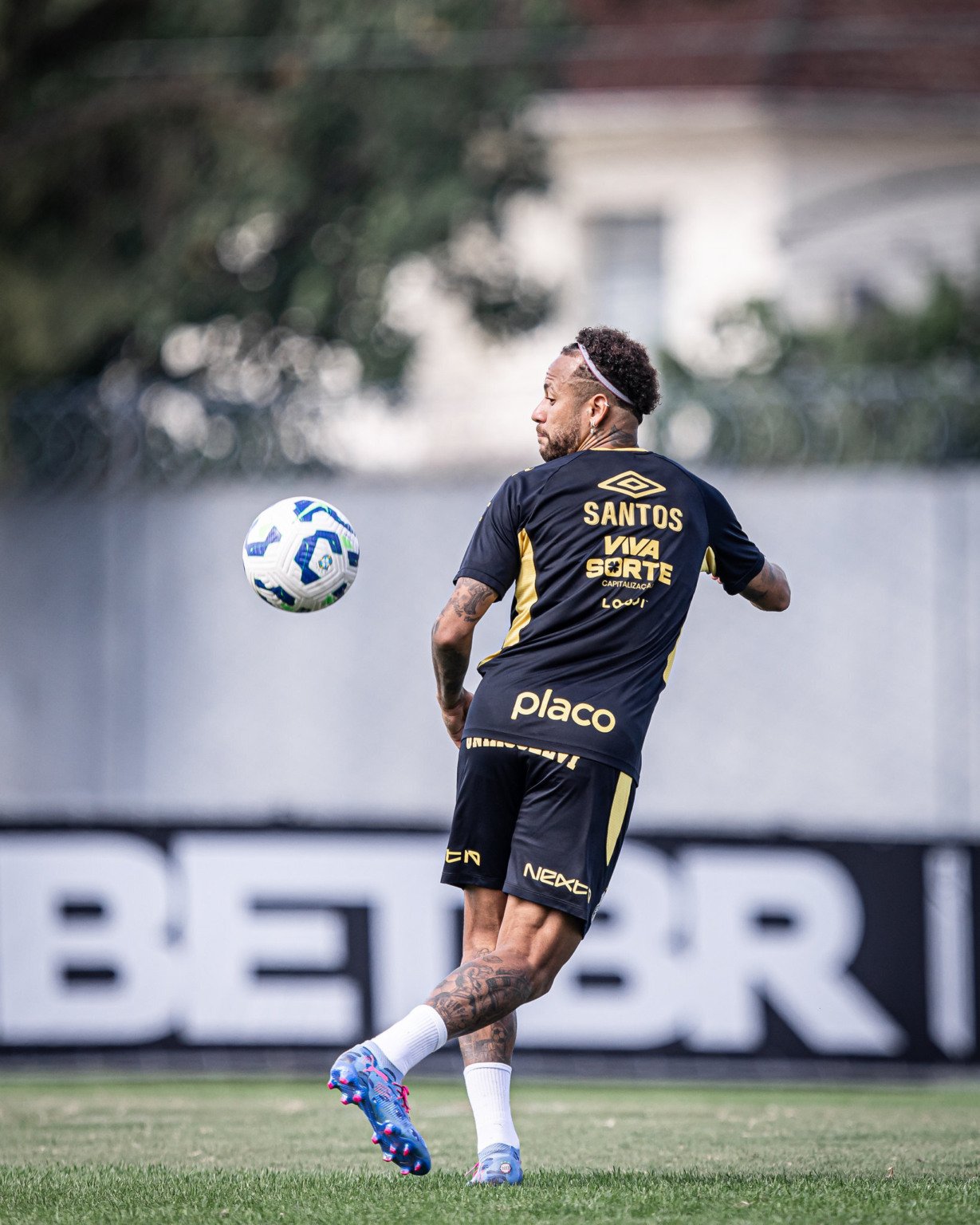 Santos e Juventude se enfrentam nesta segunda-feira (4), às 20h, no estádio Morumbi, em São Paulo, pela 18ª rodada do Campeonato Brasileiro. A partida será transmitida ao vivo pelo Premiere e Sportv.