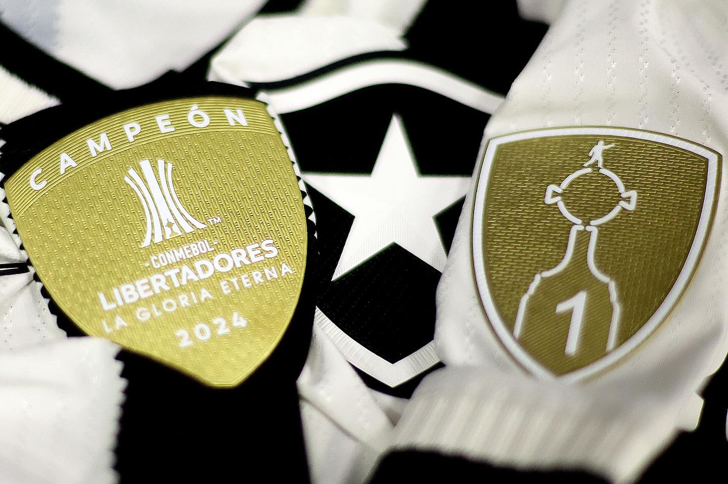 O Botafogo dá início às oitavas de final da Libertadores nesta quinta-feira (14), enfrentando a LDU no Estádio Nilton Santos, às 19h (horário de Brasília).