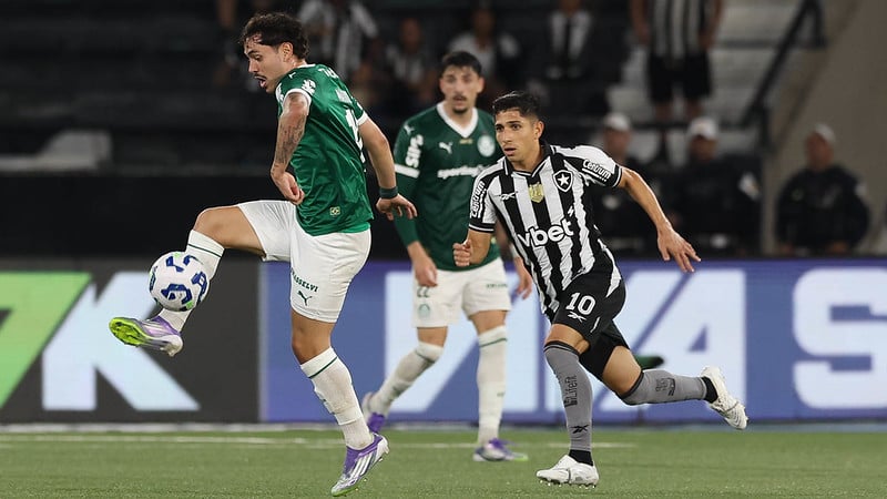 O jogador Mauricio, da SE Palmeiras, disputa bola com o jogador do Botafogo FR, durante partida válida pela vigésima rodada, do Campeonato Brasileiro, Série A, no Esteadio Nilton Santos. (Foto: Cesar Greco/Palmeiras/by Canon)
