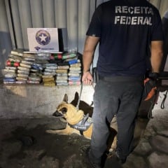 O carregamento, proveniente de Manaus (AM), encontrava-se em uma transportadora aguardando envio para a região Sudeste do país.