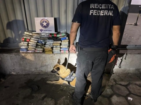 O carregamento, proveniente de Manaus (AM), encontrava-se em uma transportadora aguardando envio para a região Sudeste do país.