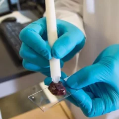 A poucos passos do campo cirúrgico, uma máquina faz um ruído persistente, como um pequeno ar-condicionado.