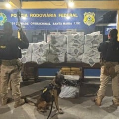 A droga e os cigarros foram encontrados no bagageiro de um ônibus de viagem que saiu de Belém/PA com destino a Fortaleza/CE
