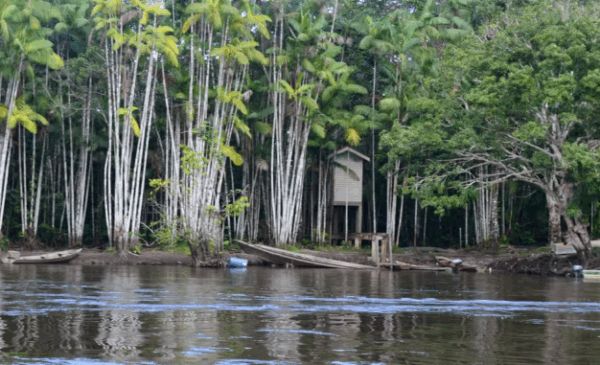 A Polícia Civil do Amapá investiga a morte brutal de seis homens naturais do estado, encontrados assassinados em uma área de difícil acesso do Rio Iratapuru,