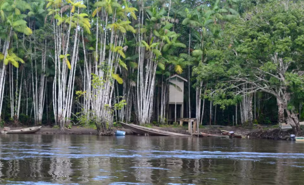 A Polícia Civil do Amapá investiga a morte brutal de seis homens naturais do estado, encontrados assassinados em uma área de difícil acesso do Rio Iratapuru,