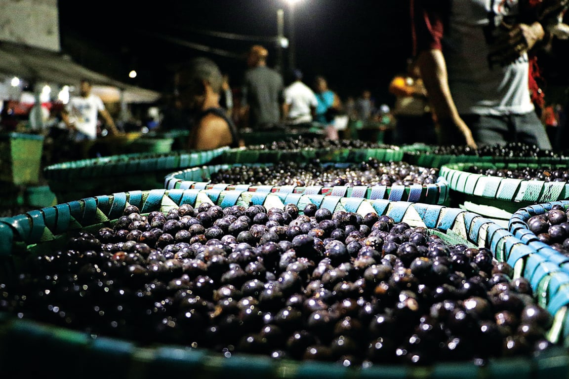 O fruto amazônico conquistou espaço nos mercados dos EUA graças ao seu alto valor nutricional e apelo saudável Foto: irene almeida