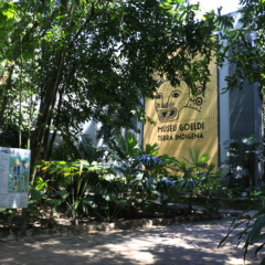 O Parque Zoobotânico do Museu Paraense Emílio Goeldi (PZB-MPEG) volta a receber visitantes a partir desta sexta-feira (3).