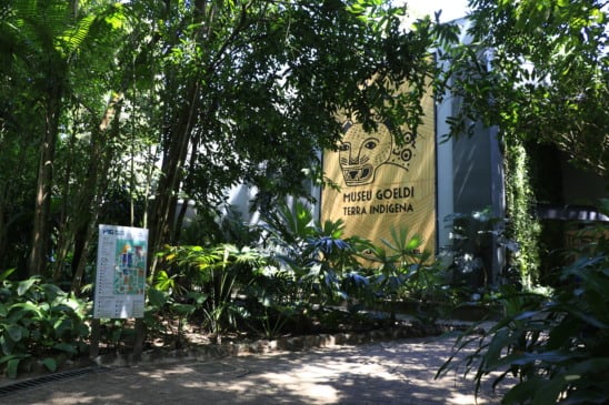 O Parque Zoobotânico do Museu Paraense Emílio Goeldi (PZB-MPEG) volta a receber visitantes a partir desta sexta-feira (3).