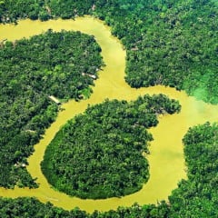 O DIÁRIO DO PARÁ dá início à série sobre temas sustentáveis em diferentes nichos, como economia circular, agricultura, energia, educação e biodiversidade, em contagem regressiva para a COP 30