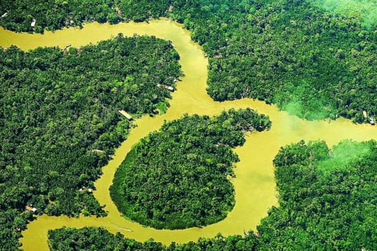 O DIÁRIO DO PARÁ dá início à série sobre temas sustentáveis em diferentes nichos, como economia circular, agricultura, energia, educação e biodiversidade, em contagem regressiva para a COP 30