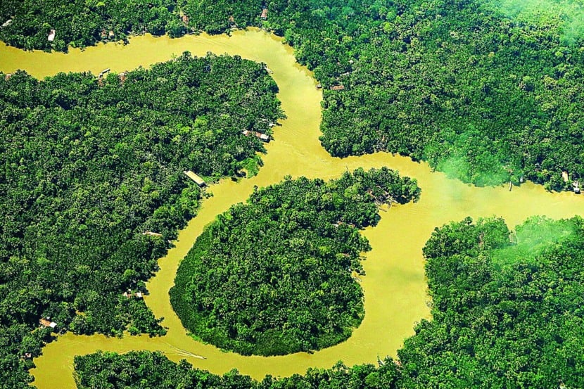 O DIÁRIO DO PARÁ dá início à série sobre temas sustentáveis em diferentes nichos, como economia circular, agricultura, energia, educação e biodiversidade, em contagem regressiva para a COP 30