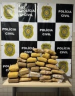 A Polícia Civil prendeu, na tarde de sexta-feira (29), um homem acusado de ser traficante de drogas e apreendeu grande quantidade de maconha, na cidade de Castanhal