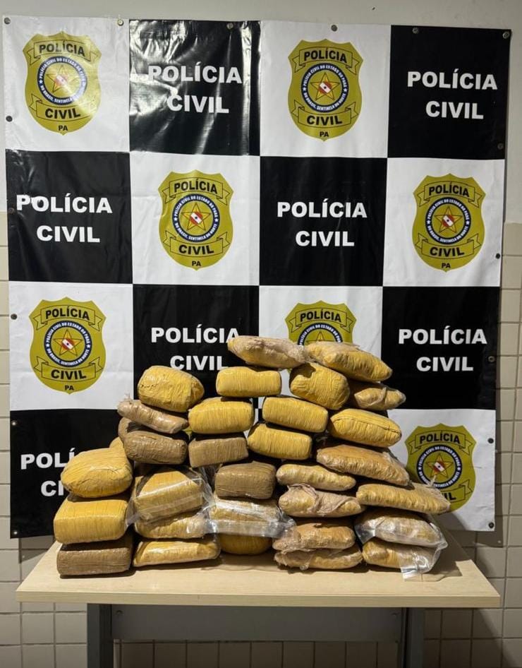 A Polícia Civil prendeu, na tarde de sexta-feira (29), um homem acusado de ser traficante de drogas e apreendeu grande quantidade de maconha, na cidade de Castanhal