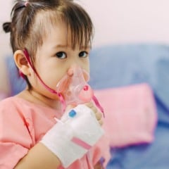Pesquisa avalia efeitos da terapia nutricional em doenças respiratórias