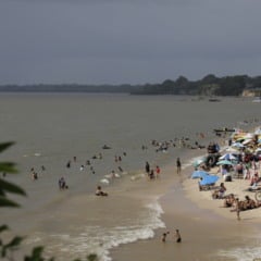Dessa forma, quem planeja viagens ou compromissos deve se atentar: em 2025, o descanso oficial do 7 de setembro será apenas no domingo Foto: Mauro Ângelo/ Diário do Pará.