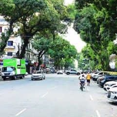 Principal via de ligação entre o centro histórico e a modernidade de Belém, a avenida Presidente Vargas completa 70 anos nesta terça-feira (05),