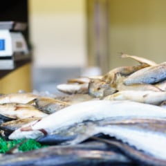 Setor pesqueiro do Pará pode ser duramente afetado por tarifas dos EUA