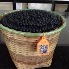 Uso do QR CODE para o rastreamento FOTOs: Divulgação