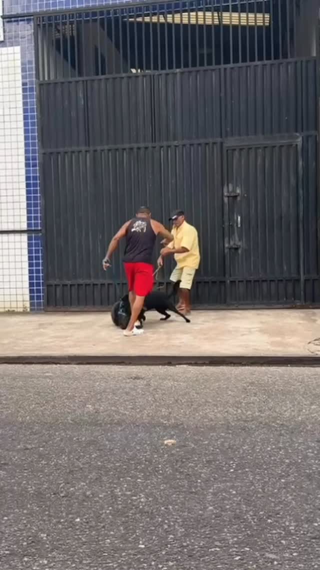 Uma cena incomum tomou conta das redes sociais nesta terça-feira (19) e virou assunto em Ananindeua, na Grande Belém.