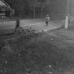 Na zona rural do município de Bragança, região do nordeste paraense, um idoso foi morto com um tiro no peito.