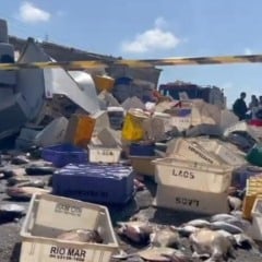 Caminhão com carga de peixe tomba na BR-316 em Castanhal