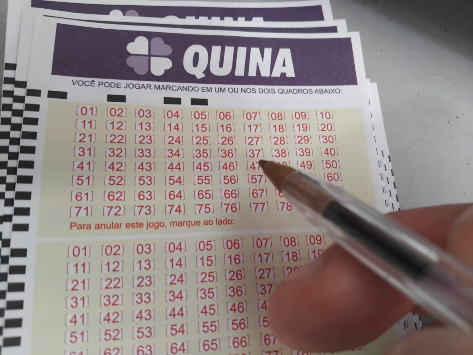 Quina hoje: resultado do concurso 6835 e números sorteados