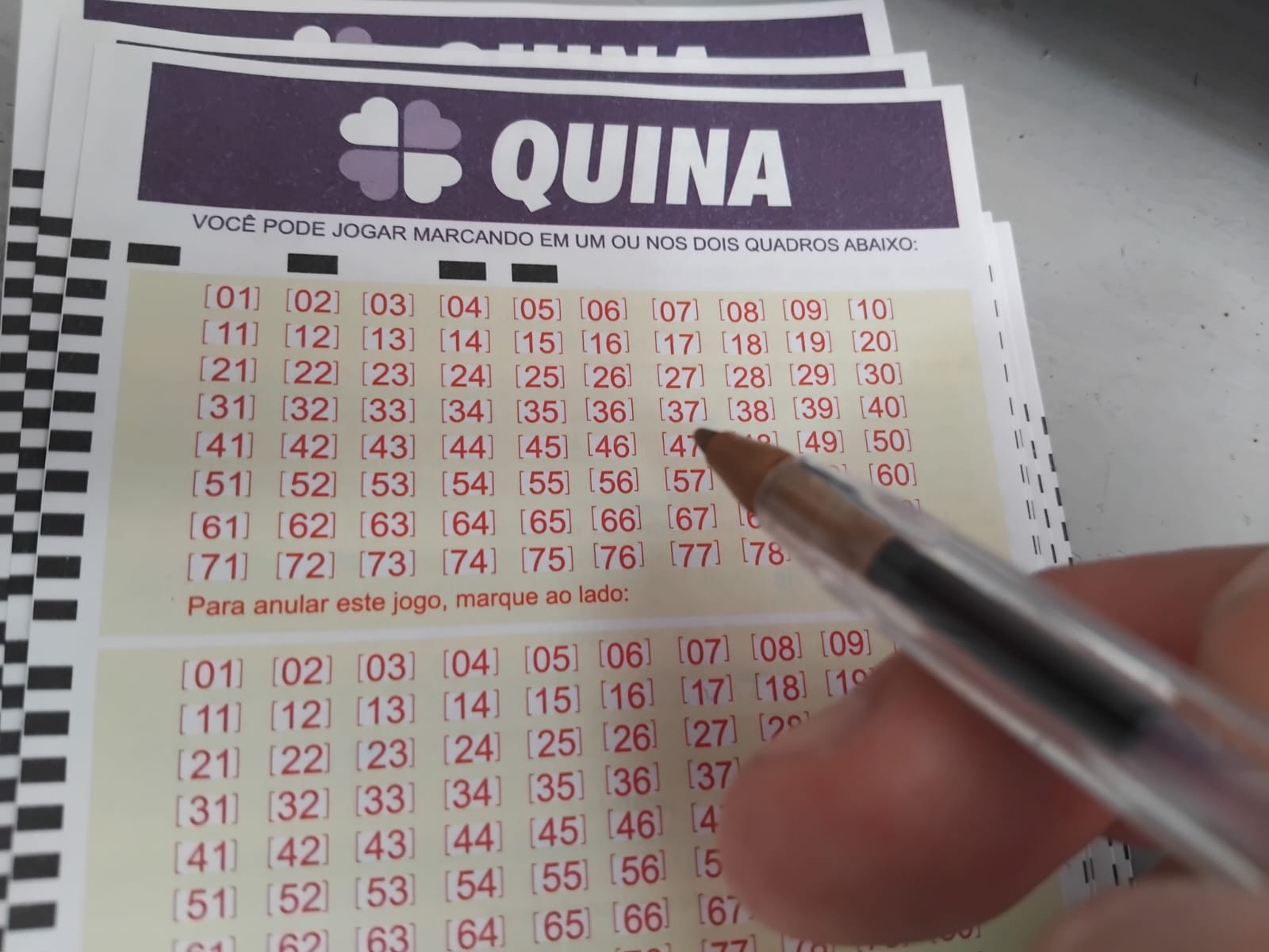 Confira os números sorteados da Quina no concurso 6799 e saiba como apostar para ganhar prêmios significativos.