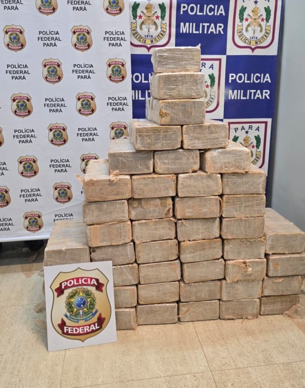 Avião com matrícula da Bolívia cai no Pará com carga de cocaína