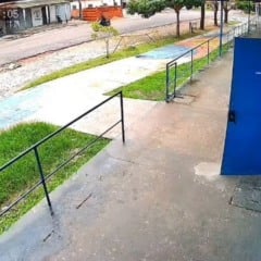 Reprodução