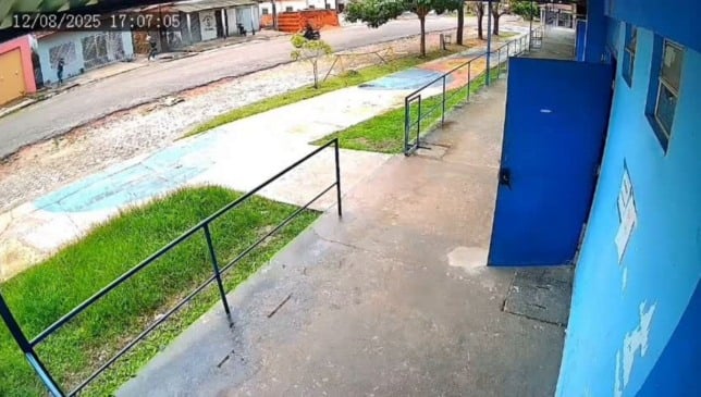 Reprodução