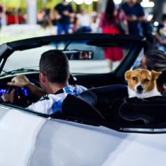 Garagem Retrô com exposição de carros clássicos