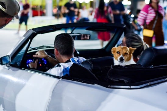 Garagem Retrô com exposição de carros clássicos
