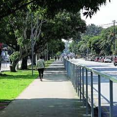Cidade Nova,Ananindeua  Pará, Brasil, caderno cidade - Um dos principais pontos habitacionais e comerciais de Ananindeua, o conjunto Cidade Nova tem uma história que data de meados de 1976, quando começou a ser construído pela Companhia de Habitação do Pará (Cohab). De lá pra cá, muitas transformações e memórias se desenvolveram no conjunto.
AV. DOM ZICO
31/07/2025
Foto celso Rodrigues/ Diário do Pará.