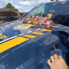 A Polícia Rodoviária Federal (PRF) apreendeu, na tarde desta quarta-feira (6), cerca de 40 kg de ouro maciço em uma caminhonete na BR-230 (Transamazônica)
